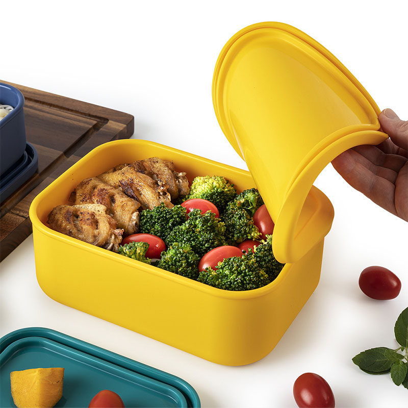 Silikon-Lunchbox in Lebensmitt – Food Snacks For Picnic Bewertung und Preis